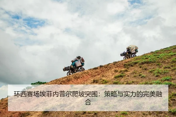 huan-xi-sai-chang-ai-fei-nei-pu-er-pa-po-tu-wei-ce-lve-yu-shi-li-de-wan-mei-rong-he-3-473.jpg